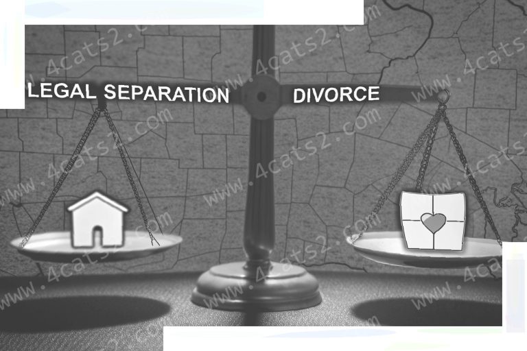 Legal Separation vs Divorce in Ohio: Key Distinctions