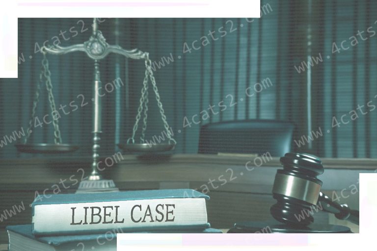 Libel Suits: Will Small Claims Court Accept Your Suit?