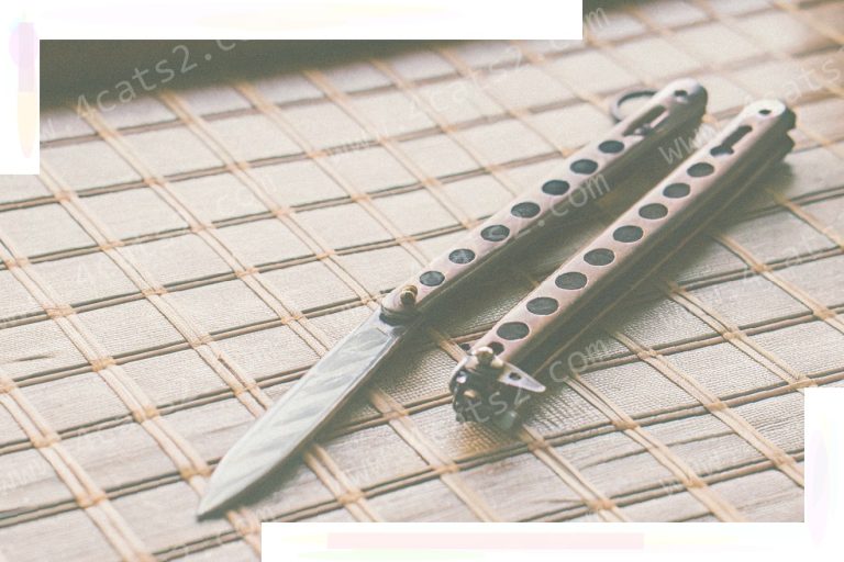 Understanding the Legal Standing of Butterfly Knives in the Empire State